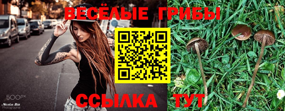 Псилоцибиновые грибы Psilocybine cubensis Соль-Илецк